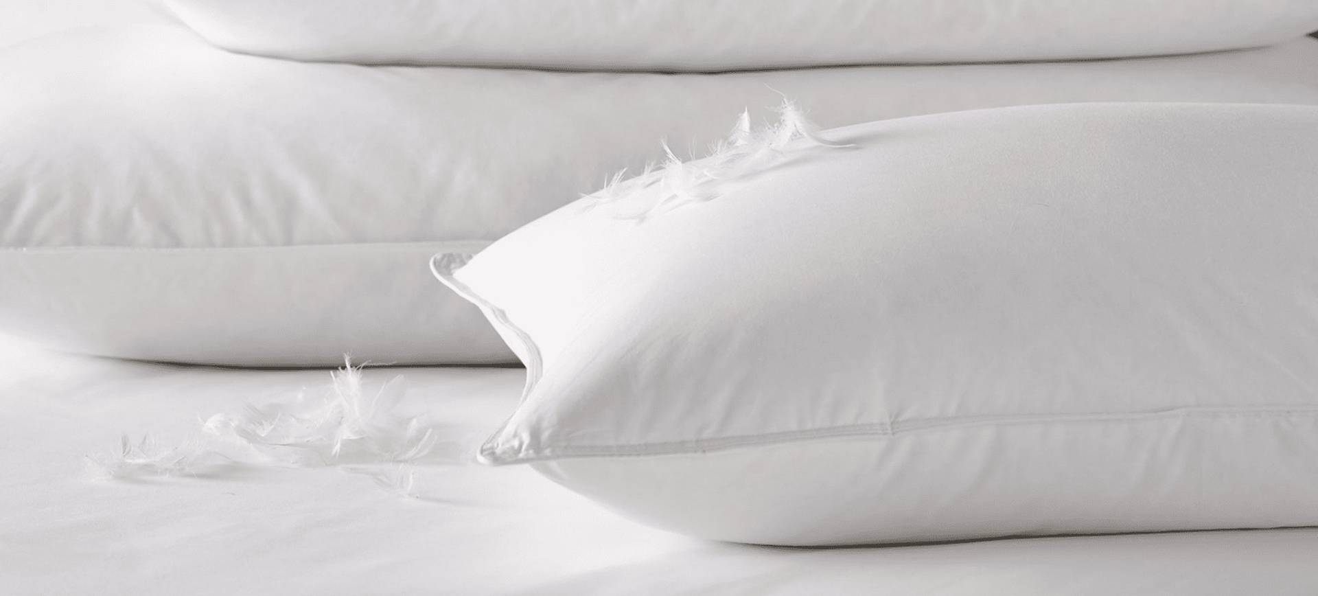 Chiết Giang Shengjie Down Products Co., Ltd.