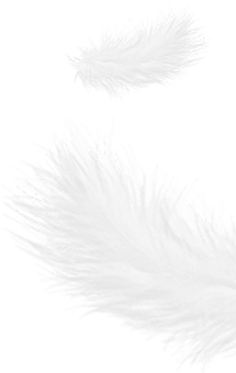 Chiết Giang Shengjie Down Products Co., Ltd.