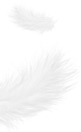 Chiết Giang Shengjie Down Products Co., Ltd.