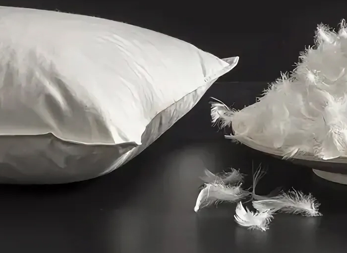 Chiết Giang Shengjie Down Products Co., Ltd.