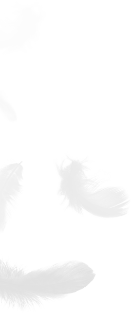 Chiết Giang Shengjie Down Products Co., Ltd.